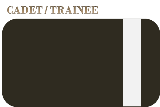 How Much Malaysian Commercial Pilots Earn Ranks Explained Pilot Visnu