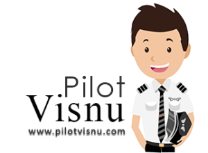 Pilot Visnu